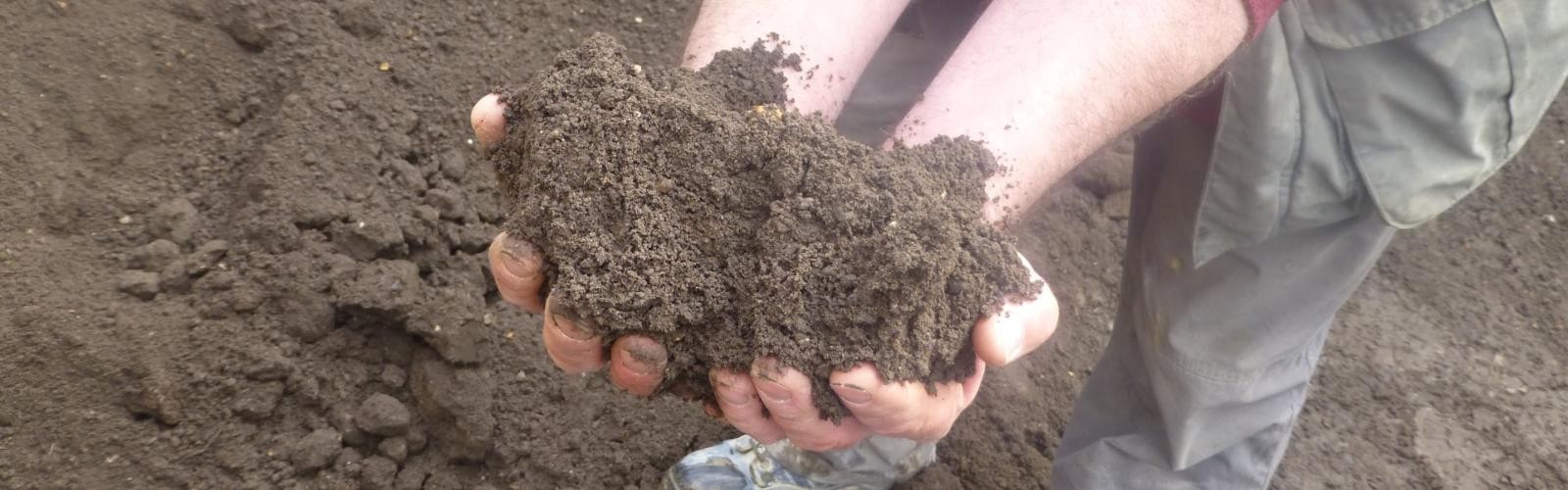 Top Soil